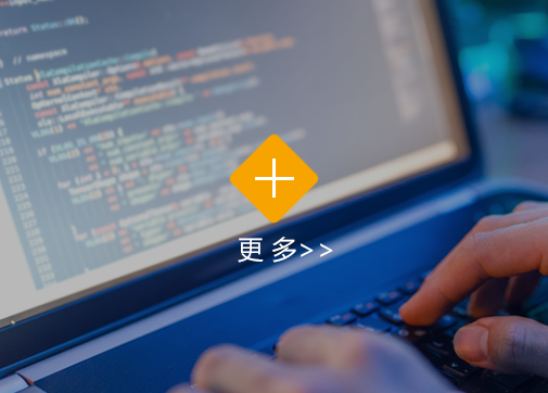 查看更多